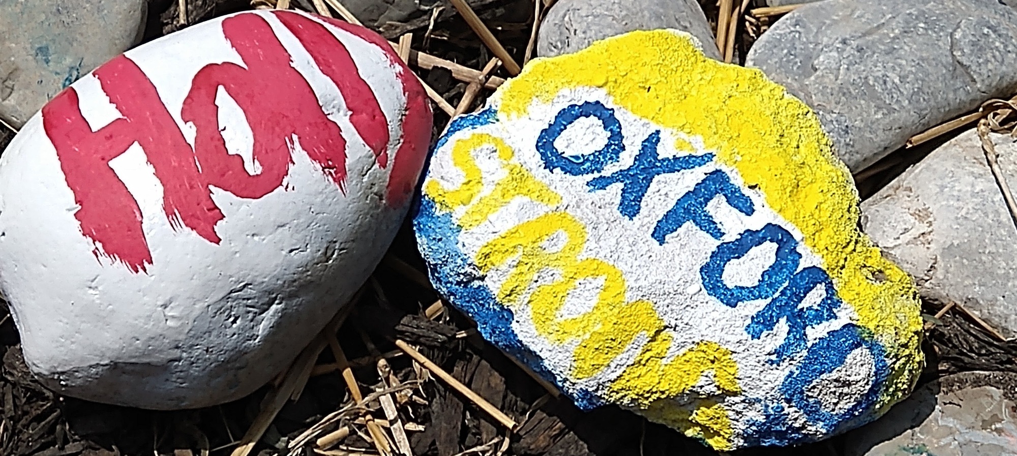 Holly and Oxford Strong painted rocks