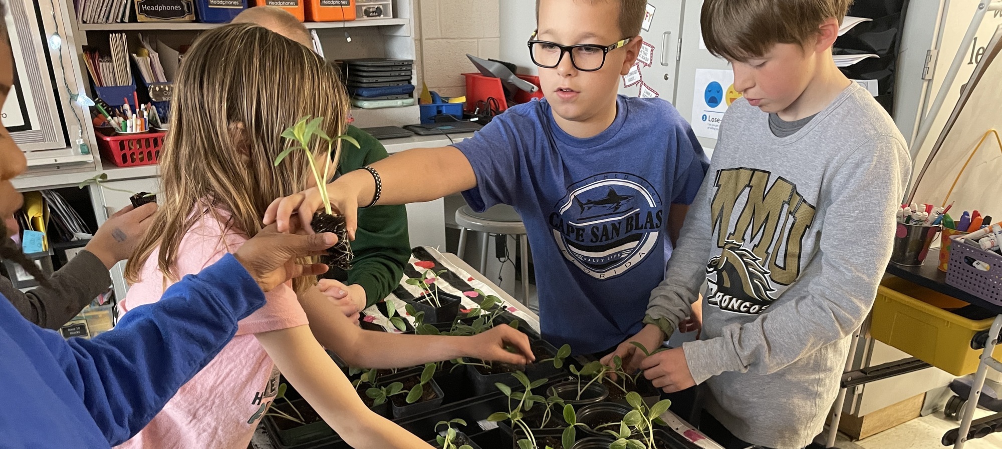 Students working with plants