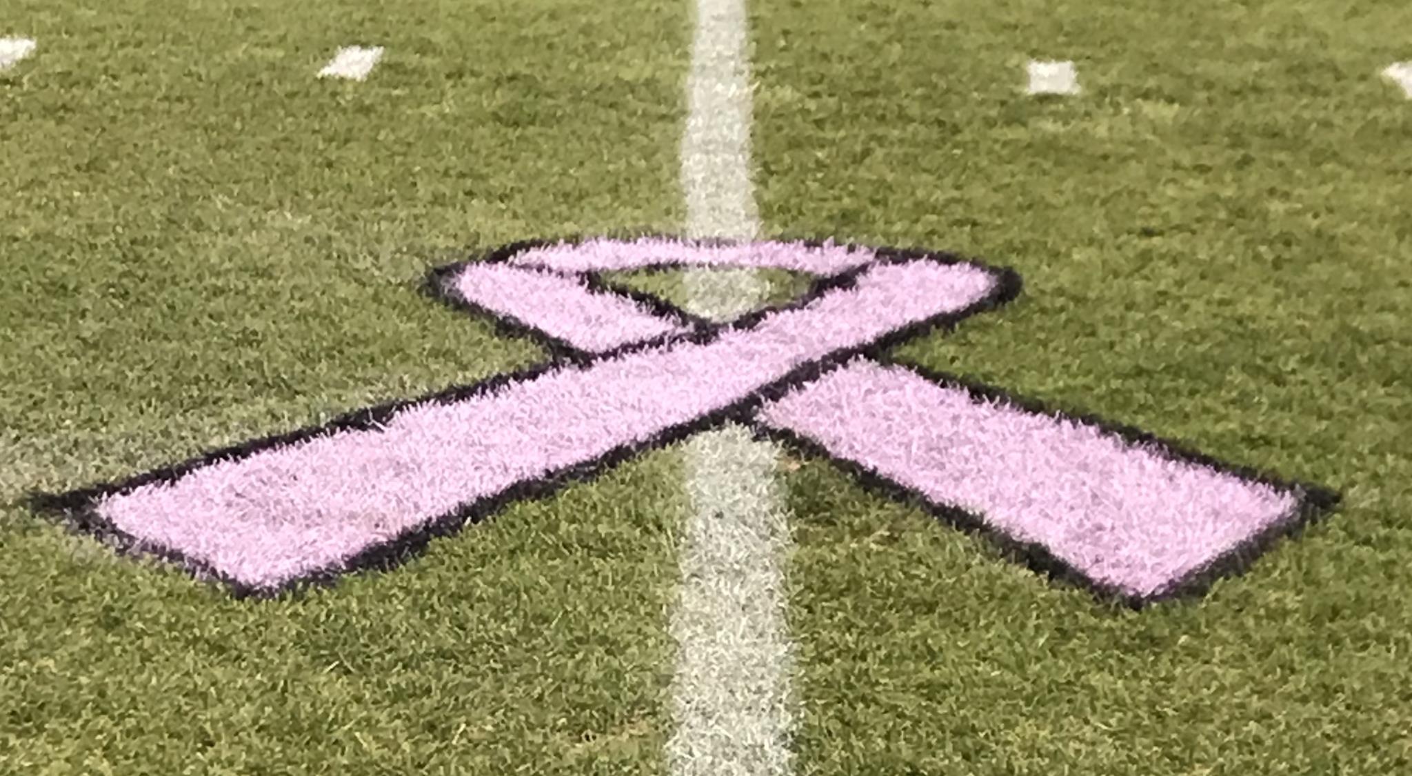 Pink breast cancer ribbon painted on the football field