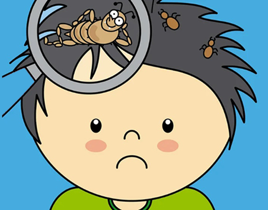 Cartoon image of boys head with magnifying glass showing lice
