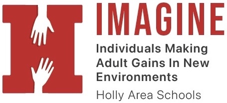 IMAGINE Program Logo